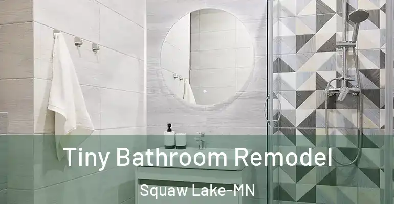 inner Bathroom imggen Tiny Bathroom Remodel Squaw Lake-MN