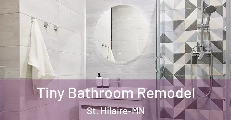 inner Bathroom imggen Tiny Bathroom Remodel St. Hilaire-MN