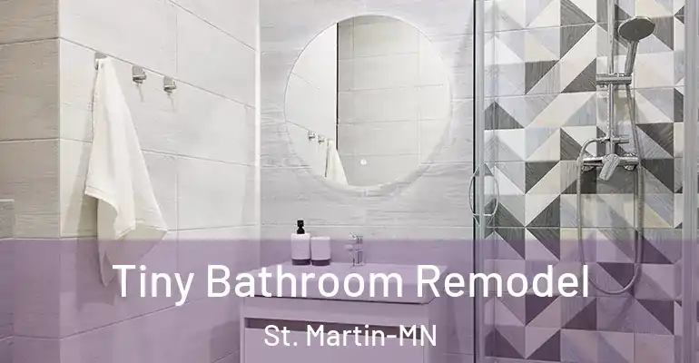 inner Bathroom imggen Tiny Bathroom Remodel St. Martin-MN