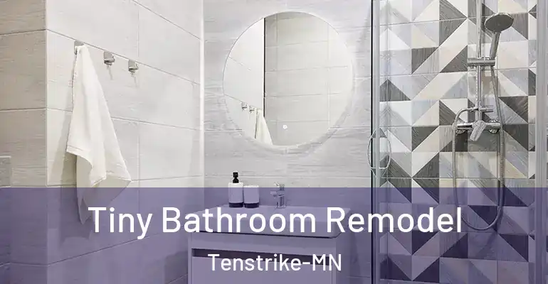inner Bathroom imggen Tiny Bathroom Remodel Tenstrike-MN