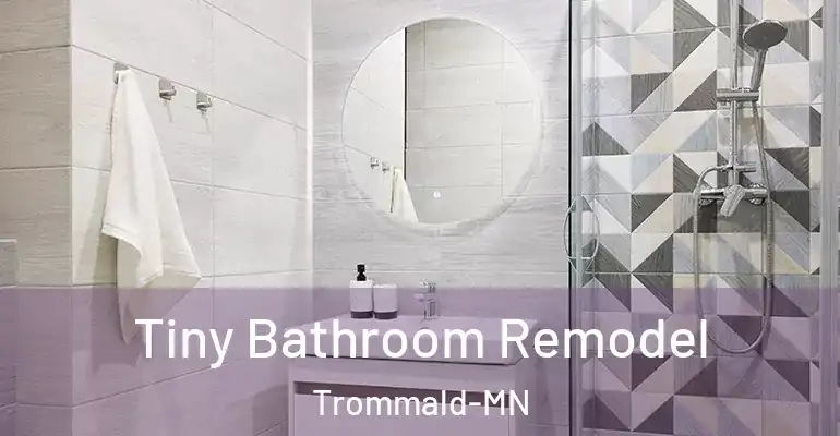 inner Bathroom imggen Tiny Bathroom Remodel Trommald-MN