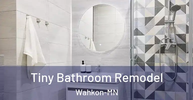 inner Bathroom imggen Tiny Bathroom Remodel Wahkon-MN