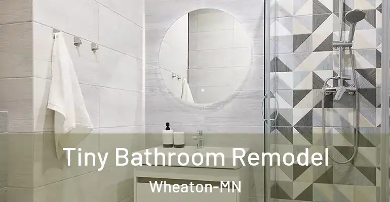 inner Bathroom imggen Tiny Bathroom Remodel Wheaton-MN