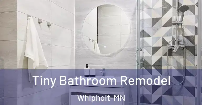 inner Bathroom imggen Tiny Bathroom Remodel Whipholt-MN