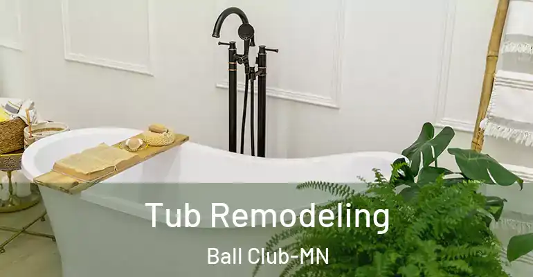 inner Bathroom imggen Tub Remodeling Ball Club-MN