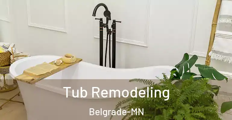 inner Bathroom imggen Tub Remodeling Belgrade-MN