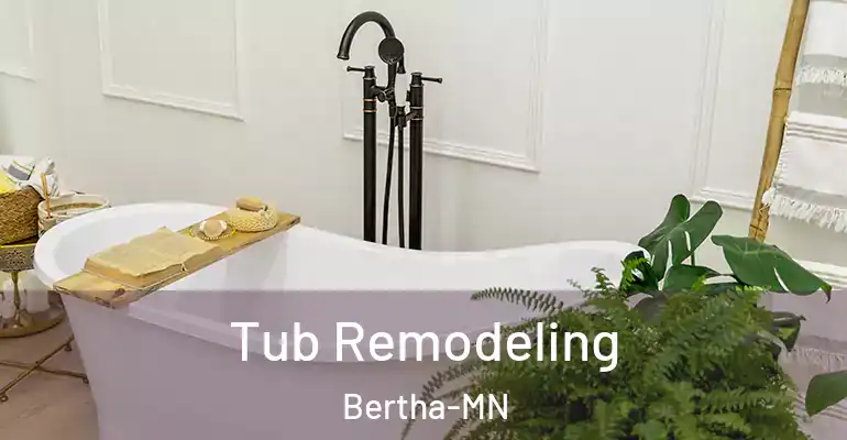 inner Bathroom imggen Tub Remodeling Bertha-MN