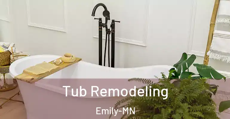 inner Bathroom imggen Tub Remodeling Emily-MN