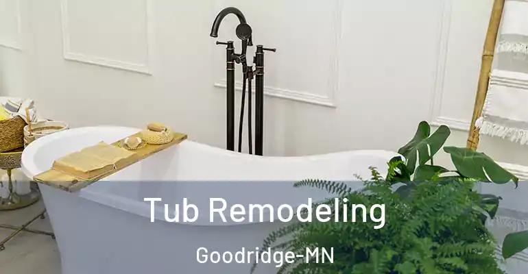inner Bathroom imggen Tub Remodeling Goodridge-MN