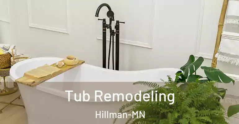 inner Bathroom imggen Tub Remodeling Hillman-MN