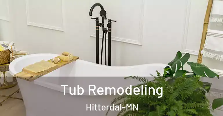 inner Bathroom imggen Tub Remodeling Hitterdal-MN