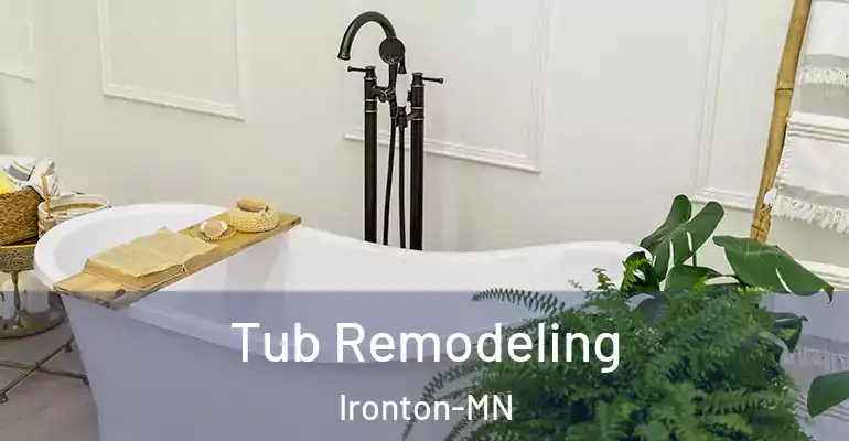 inner Bathroom imggen Tub Remodeling Ironton-MN