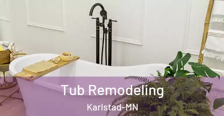 inner Bathroom imggen Tub Remodeling Karlstad-MN
