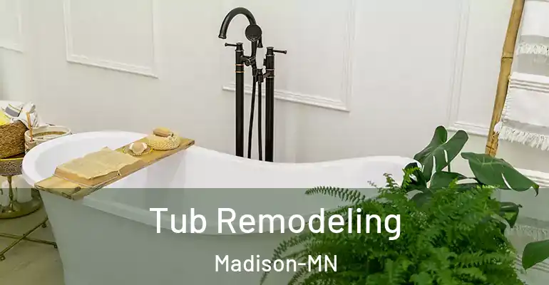 inner Bathroom imggen Tub Remodeling Madison-MN