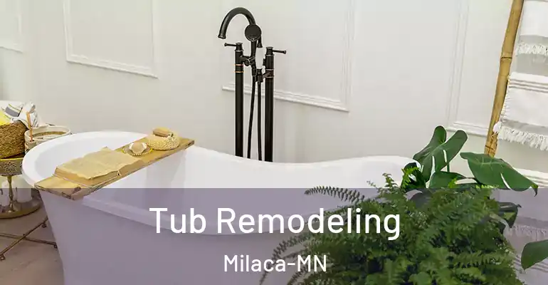 inner Bathroom imggen Tub Remodeling Milaca-MN
