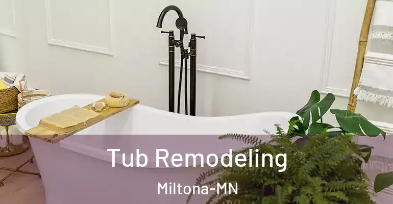 inner Bathroom imggen Tub Remodeling Miltona-MN