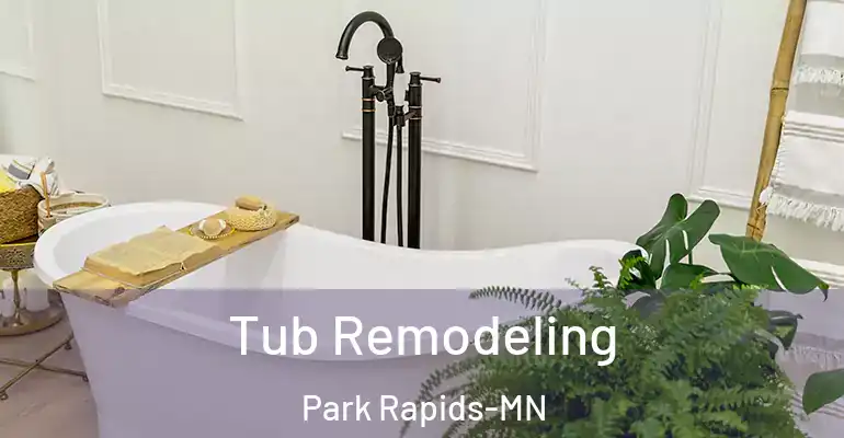 inner Bathroom imggen Tub Remodeling Park Rapids-MN