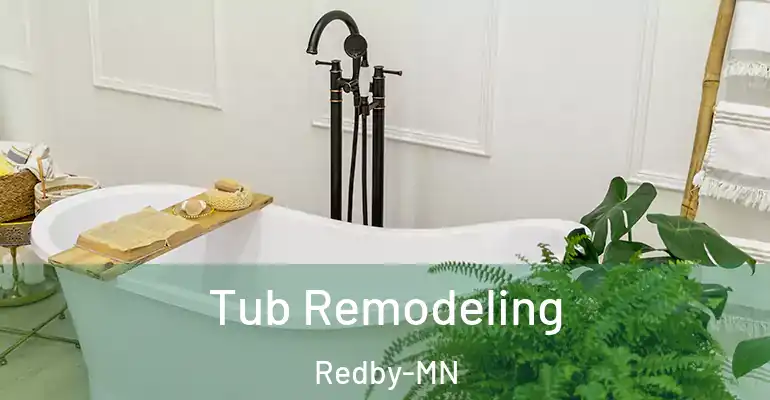 inner Bathroom imggen Tub Remodeling Redby-MN
