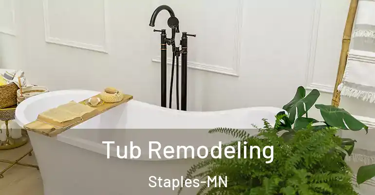 inner Bathroom imggen Tub Remodeling Staples-MN