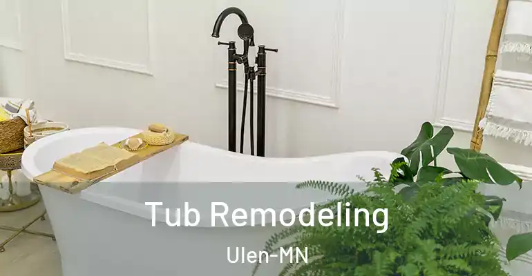 inner Bathroom imggen Tub Remodeling Ulen-MN