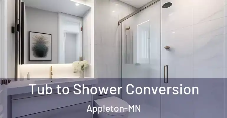 inner Bathroom imggen Tub to Shower Conversion Appleton-MN