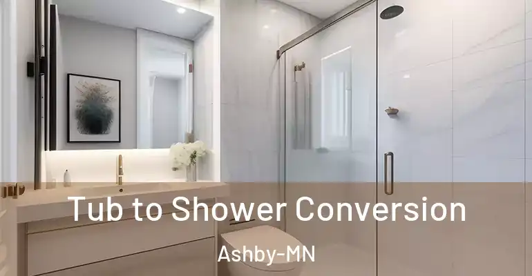 inner Bathroom imggen Tub to Shower Conversion Ashby-MN