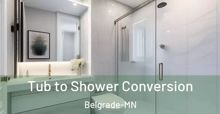 inner Bathroom imggen Tub to Shower Conversion Belgrade-MN