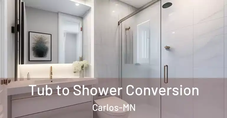 inner Bathroom imggen Tub to Shower Conversion Carlos-MN