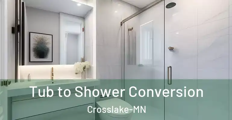 inner Bathroom imggen Tub to Shower Conversion Crosslake-MN
