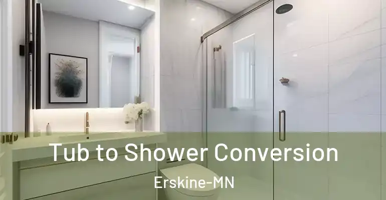 inner Bathroom imggen Tub to Shower Conversion Erskine-MN