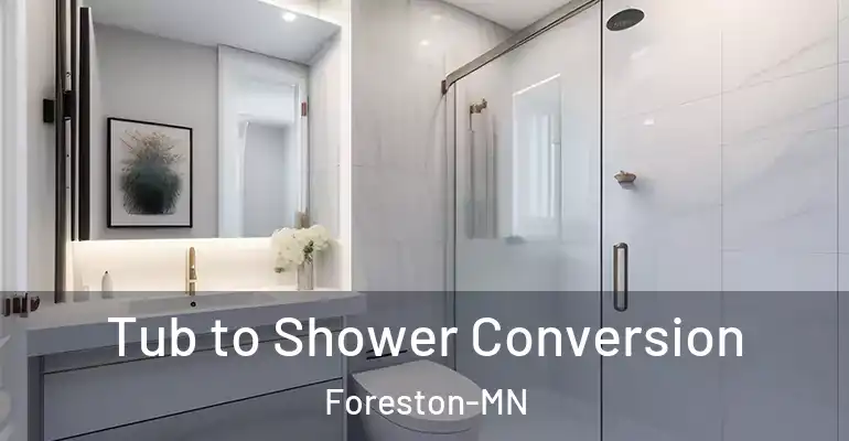 inner Bathroom imggen Tub to Shower Conversion Foreston-MN