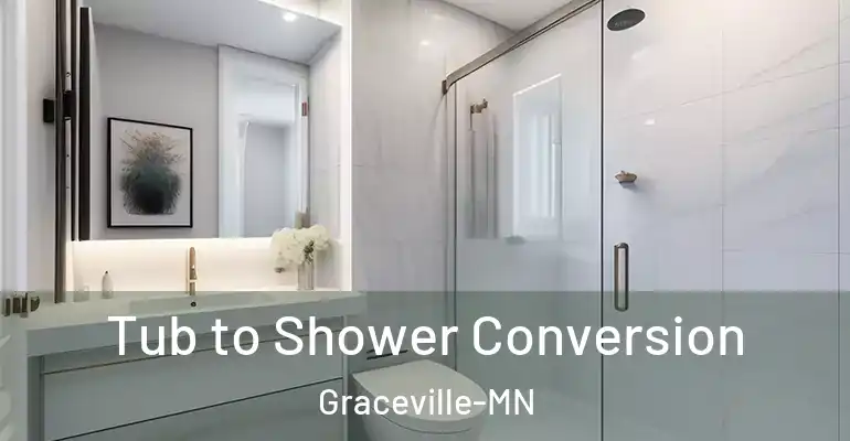 inner Bathroom imggen Tub to Shower Conversion Graceville-MN