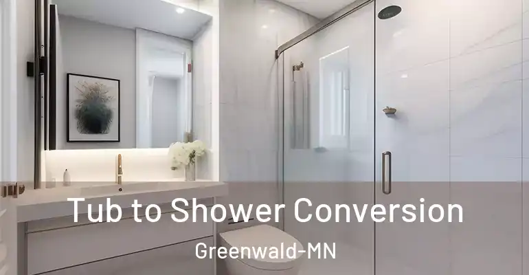 inner Bathroom imggen Tub to Shower Conversion Greenwald-MN