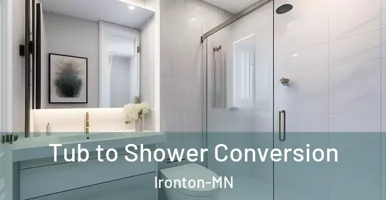inner Bathroom imggen Tub to Shower Conversion Ironton-MN
