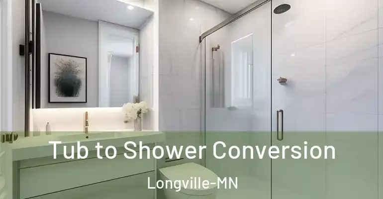 inner Bathroom imggen Tub to Shower Conversion Longville-MN