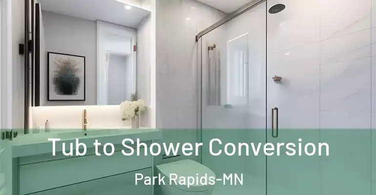inner Bathroom imggen Tub to Shower Conversion Park Rapids-MN