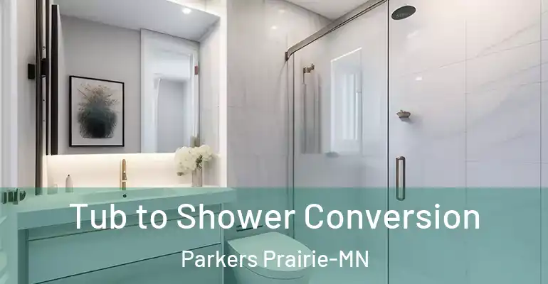 inner Bathroom imggen Tub to Shower Conversion Parkers Prairie-MN