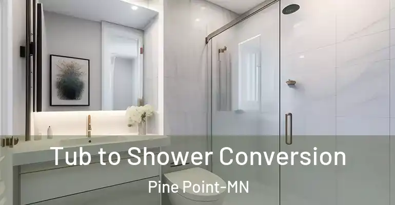 inner Bathroom imggen Tub to Shower Conversion Pine Point-MN