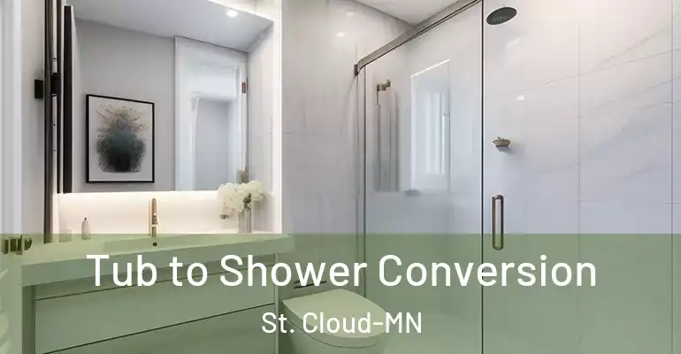 inner Bathroom imggen Tub to Shower Conversion St. Cloud-MN