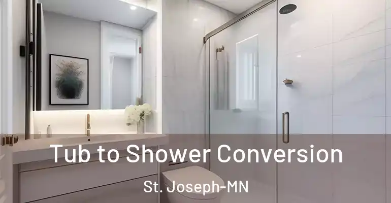 inner Bathroom imggen Tub to Shower Conversion St. Joseph-MN
