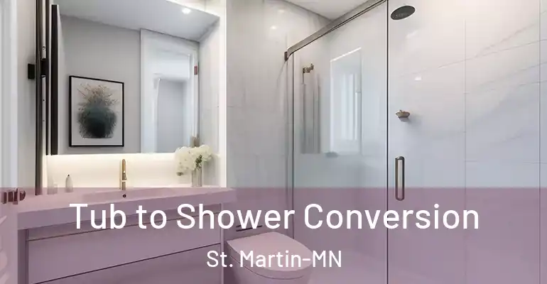 inner Bathroom imggen Tub to Shower Conversion St. Martin-MN