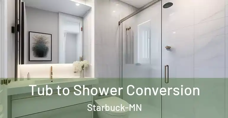 inner Bathroom imggen Tub to Shower Conversion Starbuck-MN