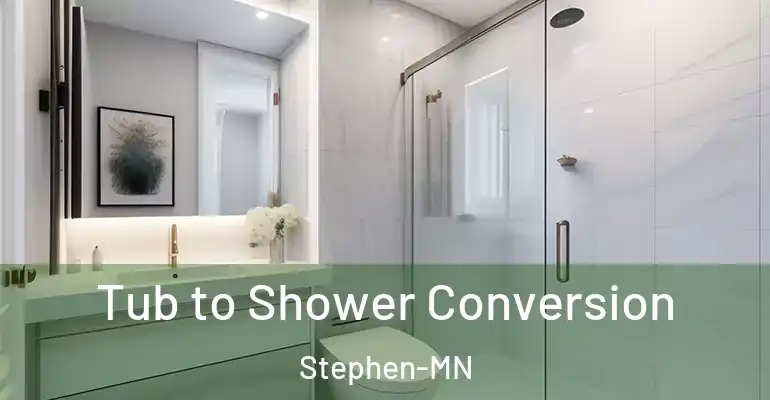 inner Bathroom imggen Tub to Shower Conversion Stephen-MN