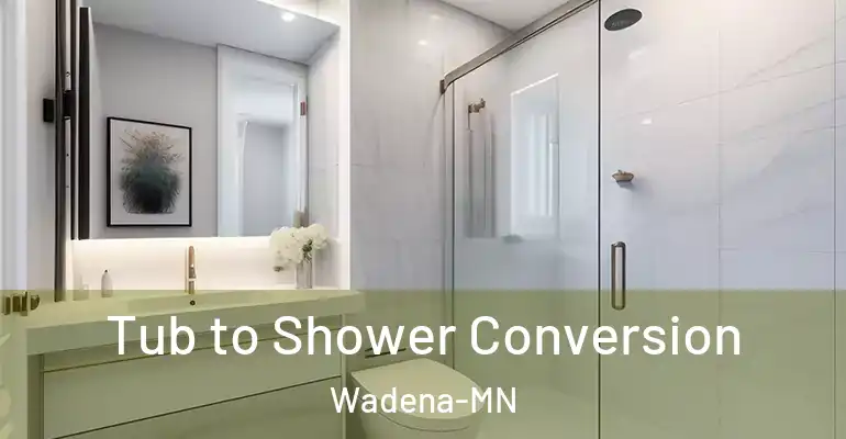 inner Bathroom imggen Tub to Shower Conversion Wadena-MN
