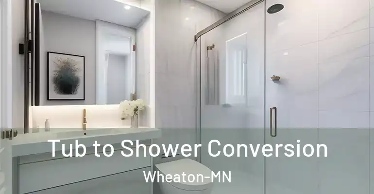 inner Bathroom imggen Tub to Shower Conversion Wheaton-MN