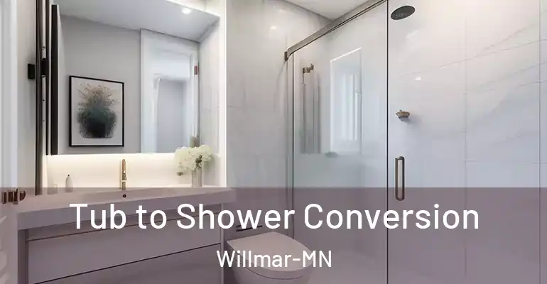 inner Bathroom imggen Tub to Shower Conversion Willmar-MN
