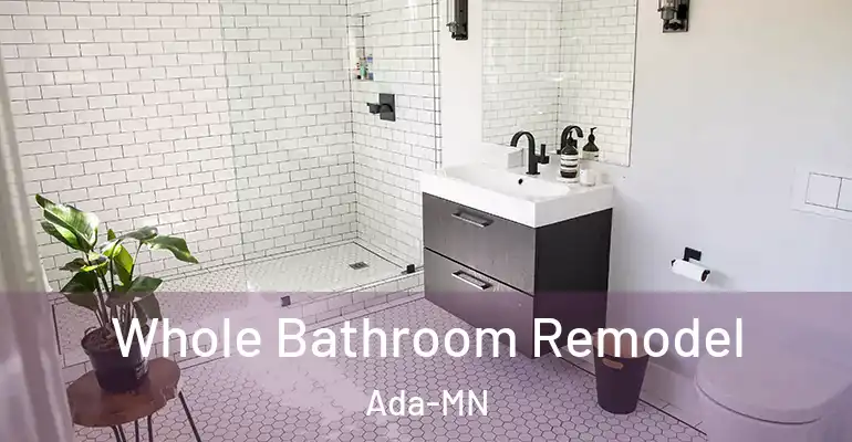 inner Bathroom imggen Whole Bathroom Remodel Ada-MN