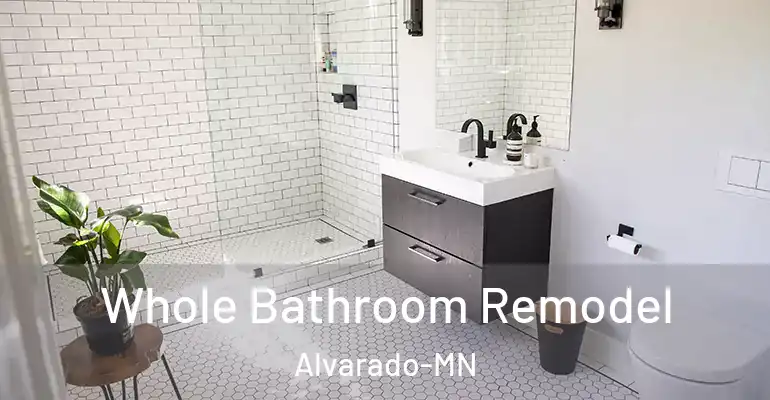 inner Bathroom imggen Whole Bathroom Remodel Alvarado-MN