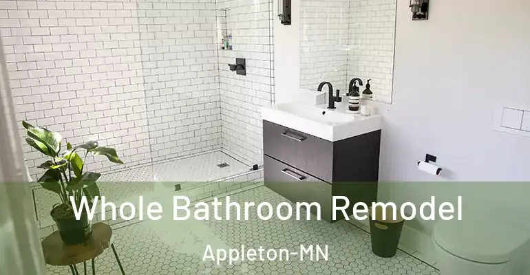 inner Bathroom imggen Whole Bathroom Remodel Appleton-MN