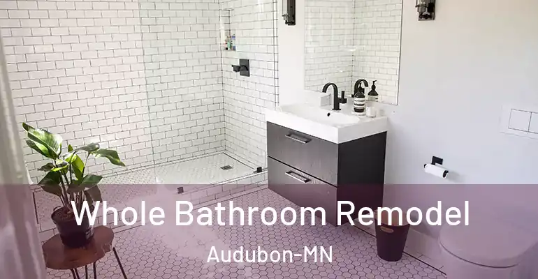 inner Bathroom imggen Whole Bathroom Remodel Audubon-MN